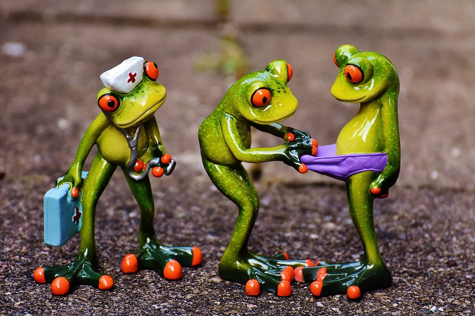 frogs-1672919_960_720